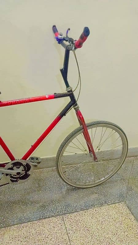 Phoenix Willing cycle for sale 4