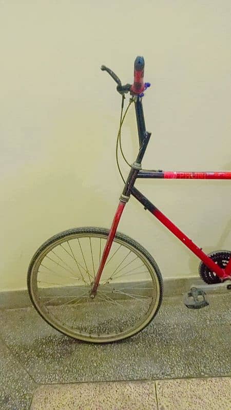 Phoenix Willing cycle for sale 13