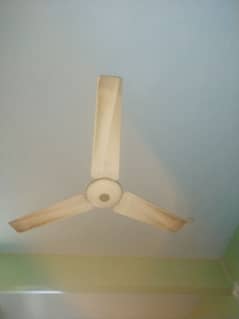 Pak Ceiling Fan for Sale Urgent