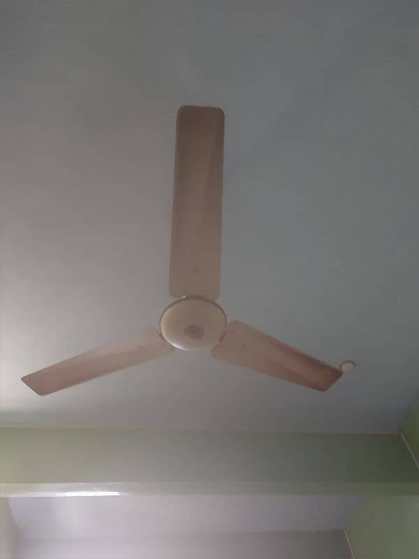 Pak Ceiling Fan for Sale Urgent 1