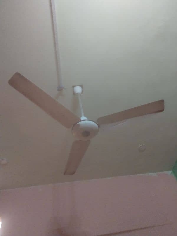 Pak Ceiling Fan for Sale Urgent 2