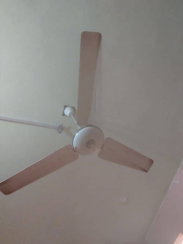 Pak Ceiling Fan for Sale Urgent 3