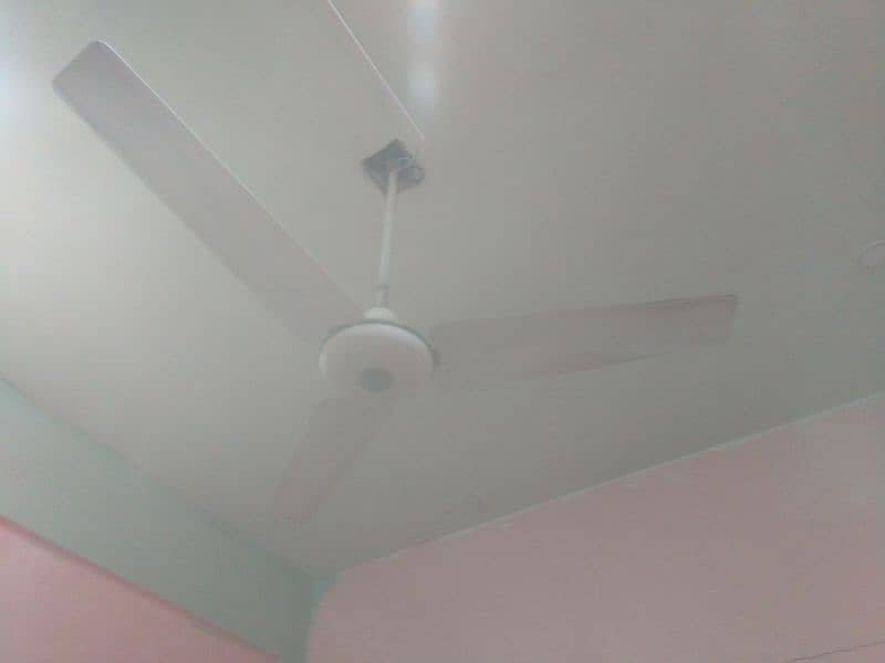 Pak Ceiling Fan for Sale Urgent 4