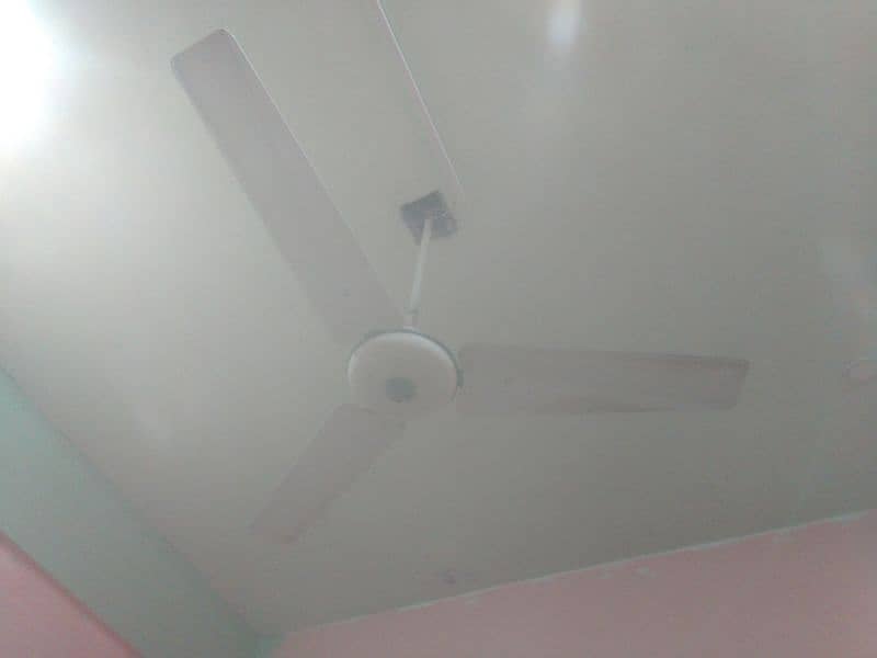 Pak Ceiling Fan for Sale Urgent 5