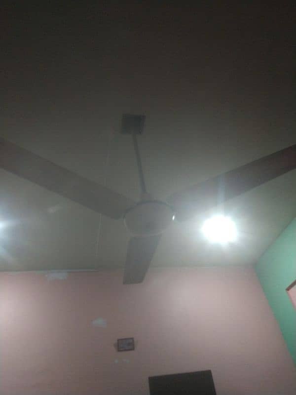 Pak Ceiling Fan for Sale Urgent 6