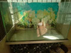 fish tank aquarium 3'-4" × 2'-2" with table