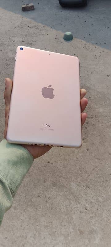 ipad mini 5 64 6