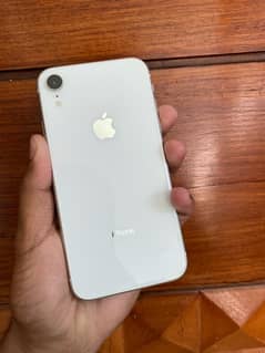 IPHONE XR 10/10 NEW