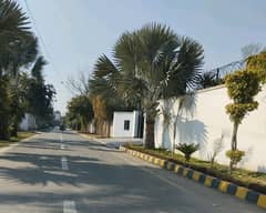 Best Options For Residential Plot Is Available For Sale In Thethar