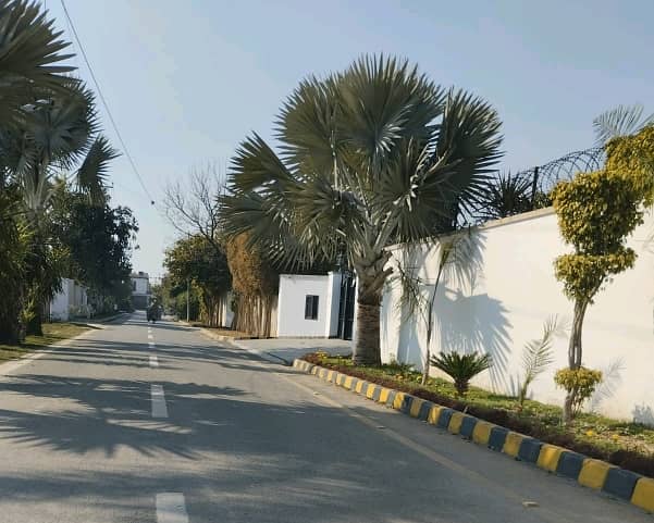 Best Options For Residential Plot Is Available For Sale In Thethar 0