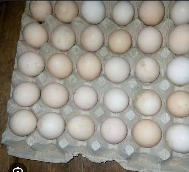 Desi eggs for sale original & fresh دیسی انڈے 0