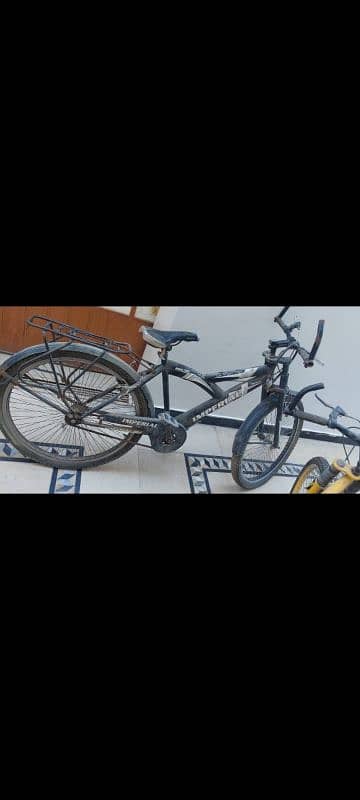 bicycle  for sale 1