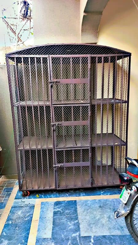 Brand new angle cage 3 portion with lock tyres [All kind of birds] 0