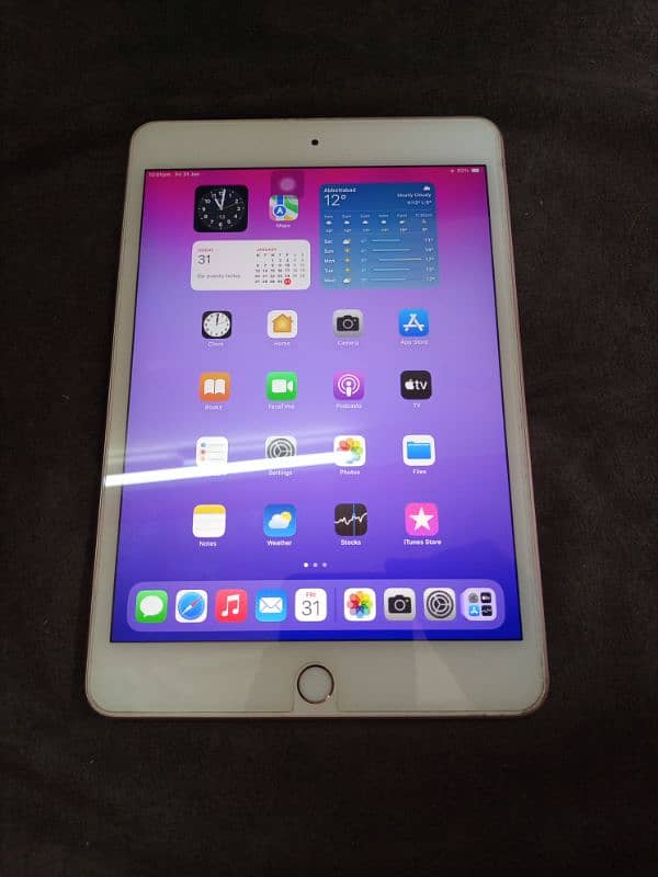 Ipad Mini 5 64 gb Golden Colour 0