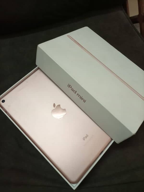 Ipad Mini 5 64 gb Golden Colour 1