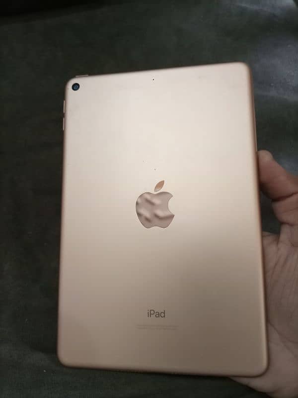 Ipad Mini 5 64 gb Golden Colour 2