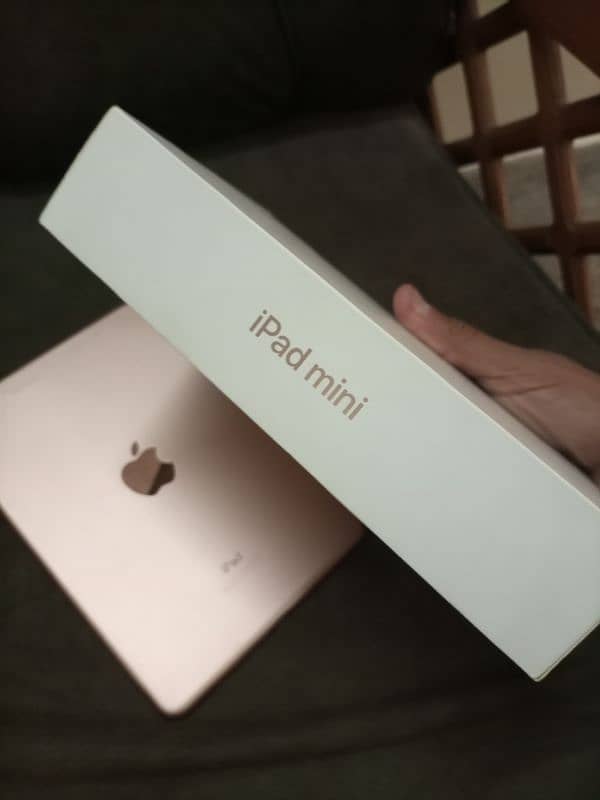 Ipad Mini 5 64 gb Golden Colour 4