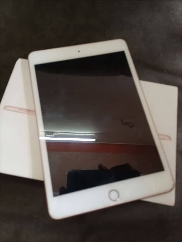 Ipad Mini 5 64 gb Golden Colour 8