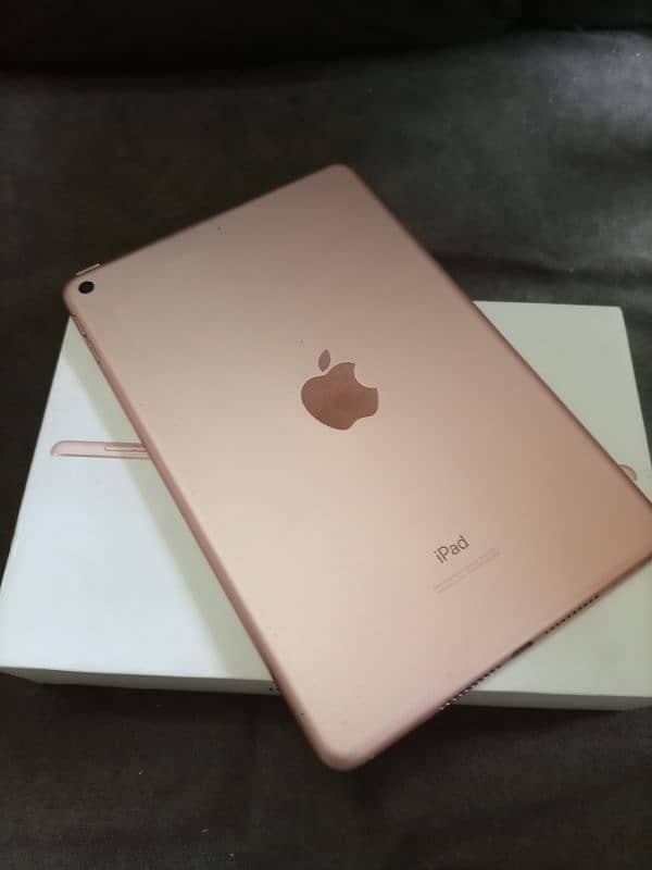 Ipad Mini 5 64 gb Golden Colour 9