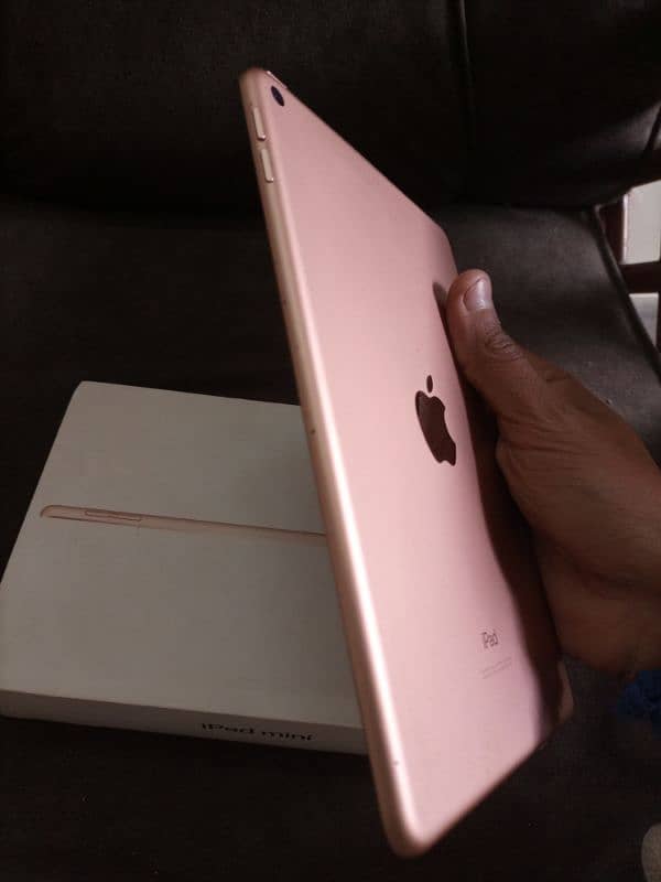 Ipad Mini 5 64 gb Golden Colour 10