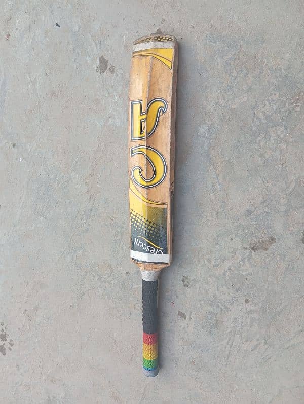 Hardball bat 1