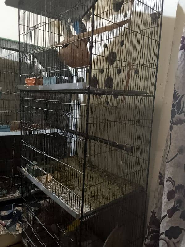 cage for sale 2