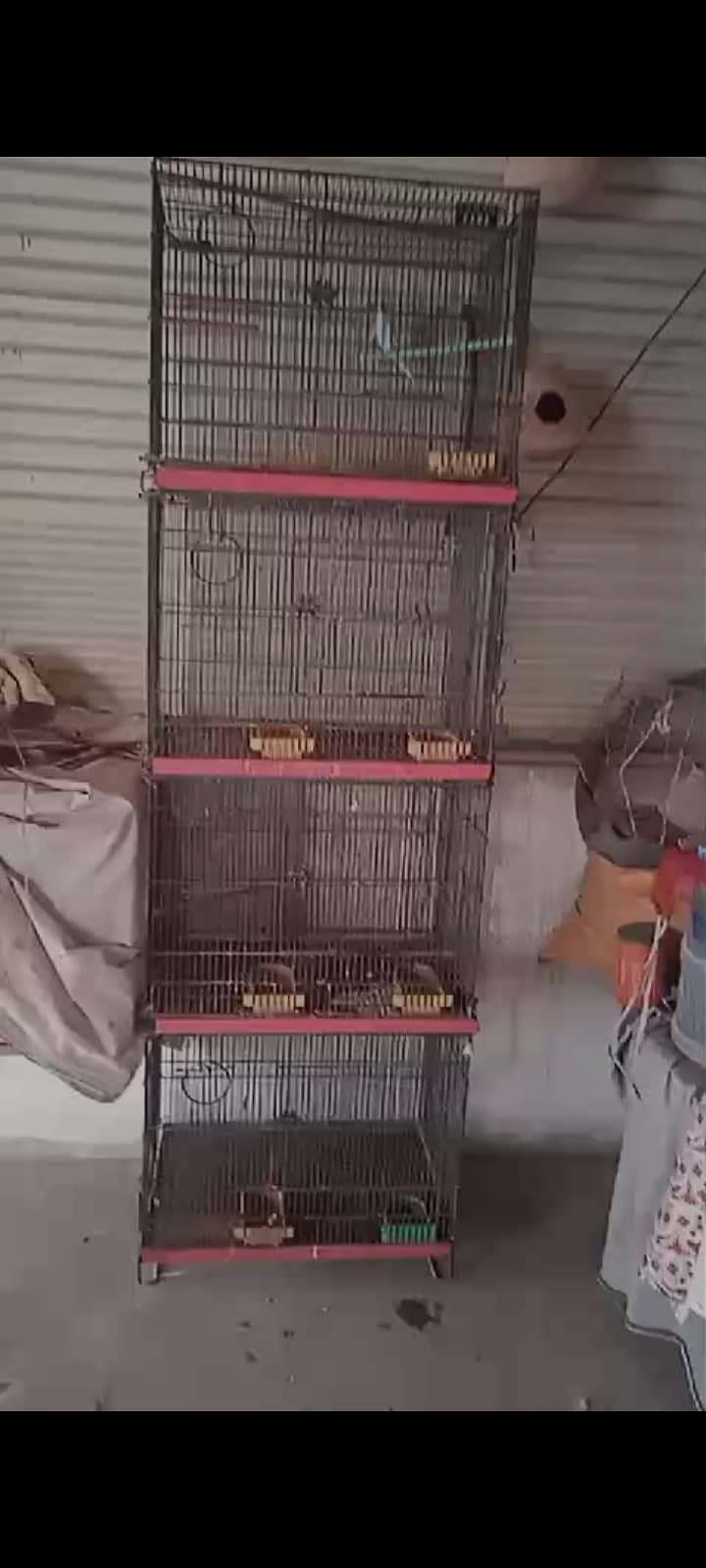 Zafar Cage For Sale 4 Porshan Folding Cage 1.5 × 2. Saize 0