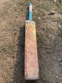 cricket bat CA 15000 plus