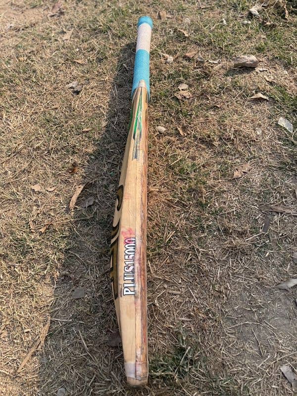 cricket bat CA 15000 plus 1