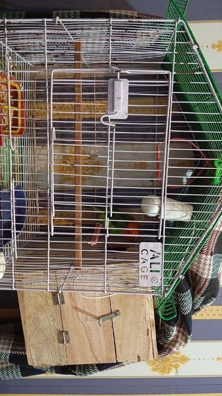 Complete Set Sale Pair plus Cage Box Food 1