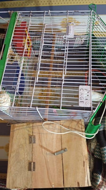 Complete Set Sale Pair plus Cage Box Food 2