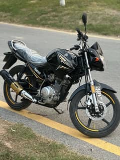 Yamaha