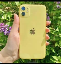 i phone 11 yellow