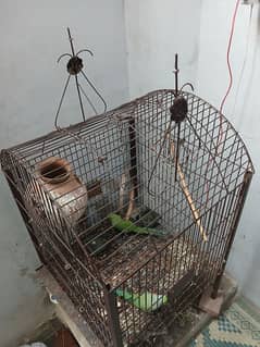 cage for sale