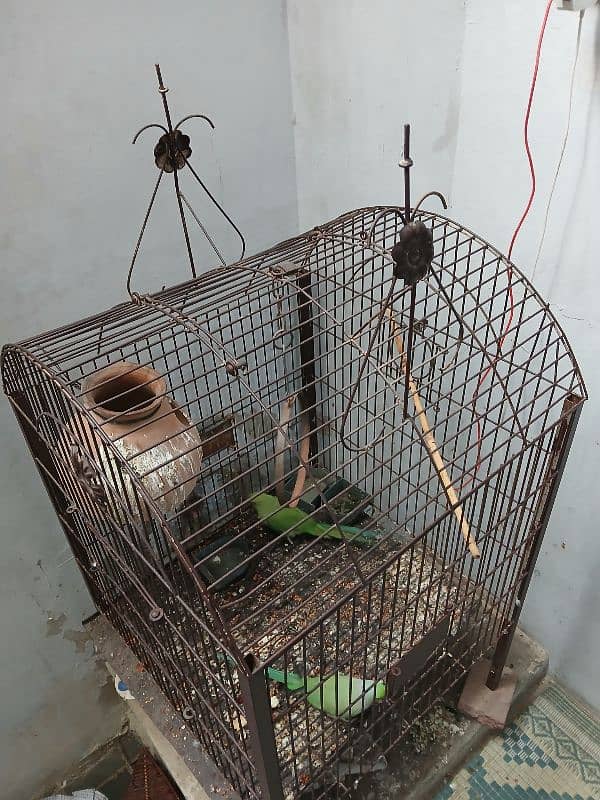 cage for sale 0