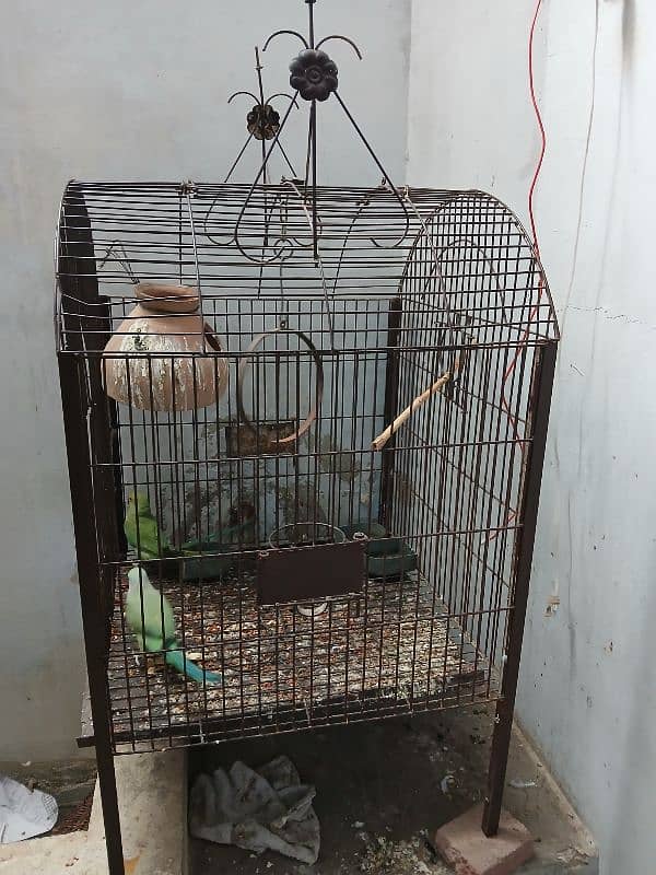 cage for sale 1