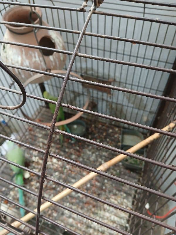 cage for sale 3