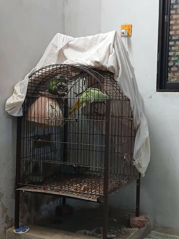 cage for sale 6