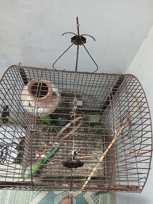 cage for sale 7