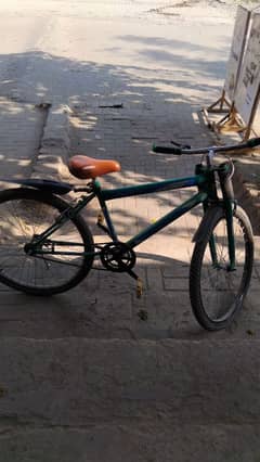 new bicycle 10 by 10