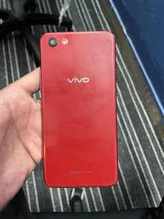 vivo