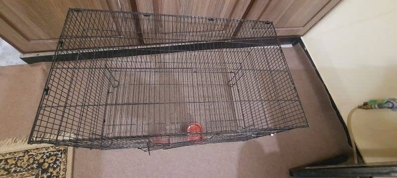 birds cage 1