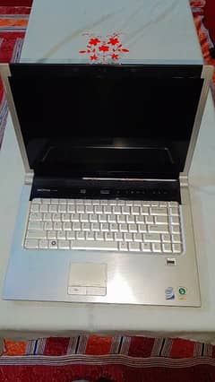 DELL xps