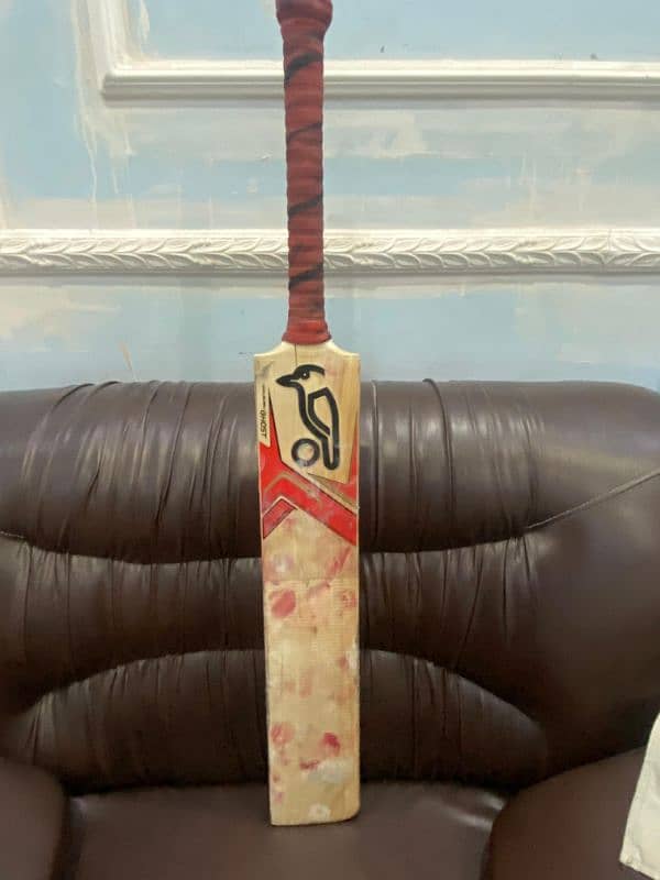 kookaburra ghost english willow bat 4