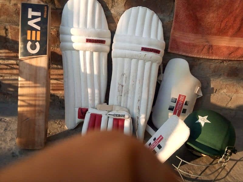 Complete Cricket Kit for Sale – CEAT Bat, Pads, Gloves, Helmet & More 1