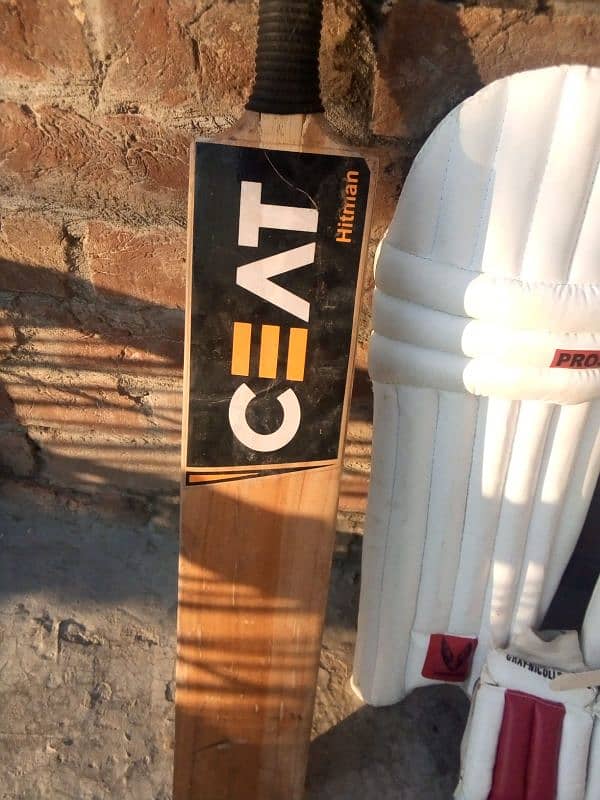 Complete Cricket Kit for Sale – CEAT Bat, Pads, Gloves, Helmet & More 2