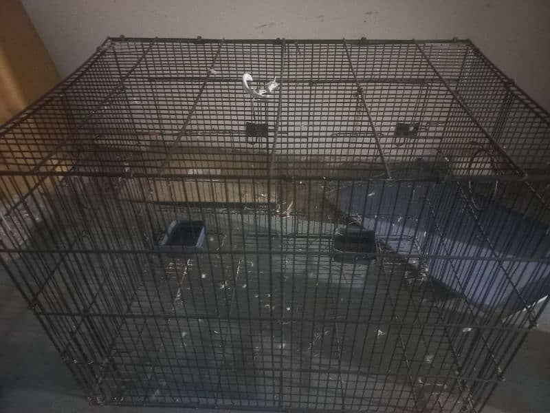 Cage- Cage For Birds- Parrot Cage- Strong Cage 1