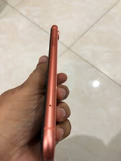 iPhone XR 128GB PTA approved