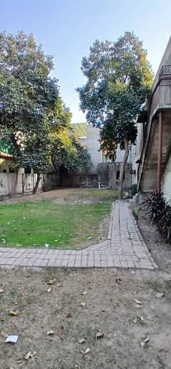 1 kanal lower portion with 1 kanal lawn for rent