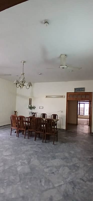 1 kanal lower portion with 1 kanal lawn for rent 6